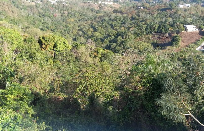 Aguada Farm & Eco-Lodge - Foto 9