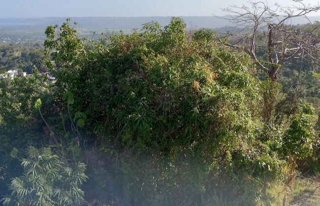 Aguada Farm & Eco-Lodge - Foto 11