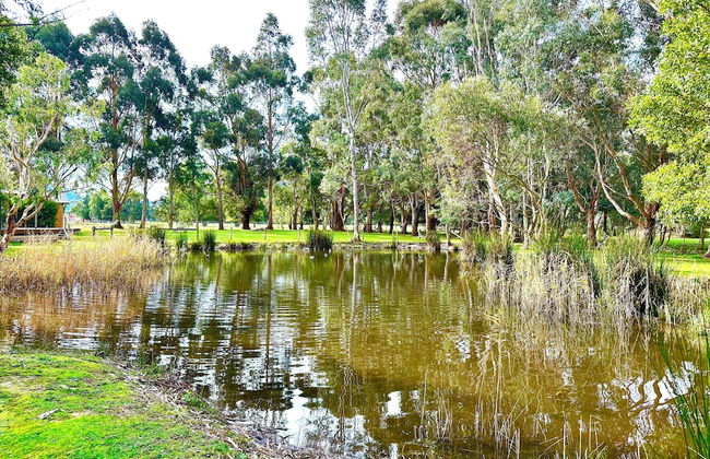 Grampians Chalets - Foto 40