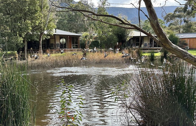 Grampians Chalets - Foto 23