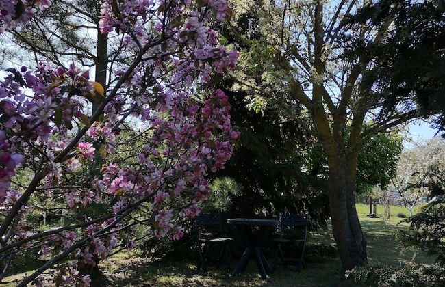 Rural tourism homestead JOLE - Foto 33
