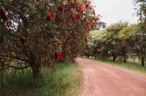 Foto 74 - Margaret River Holiday Cottages