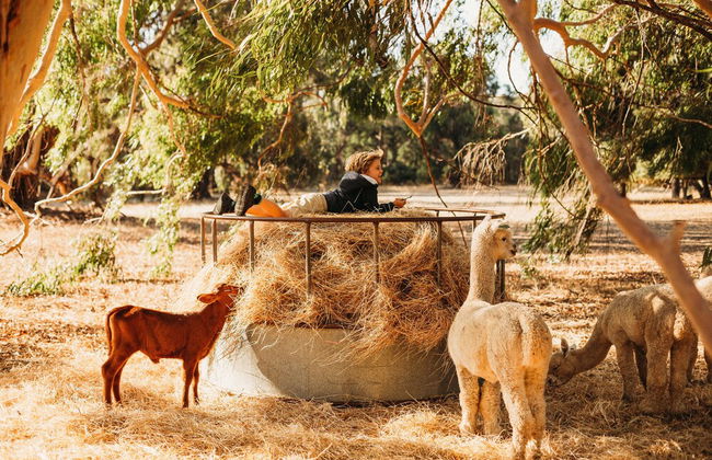 Margaret River Holiday Cottages - Foto 51