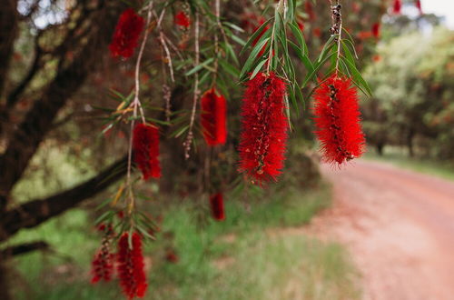 Foto 75 - Margaret River Holiday Cottages