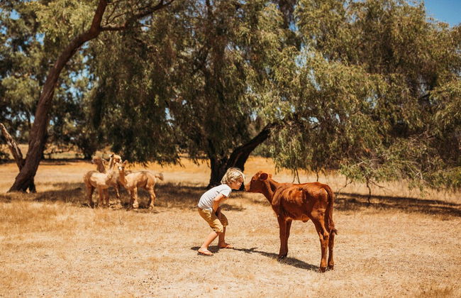 Margaret River Holiday Cottages - Foto 64