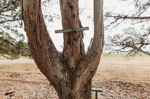 Photo 78 - Margaret River Holiday Cottages