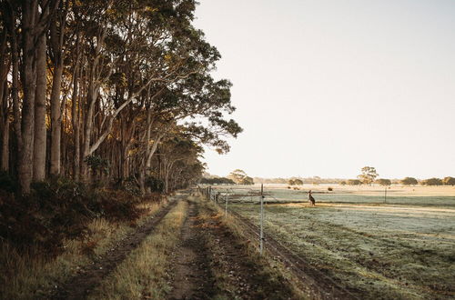 Foto 48 - Margaret River Holiday Cottages