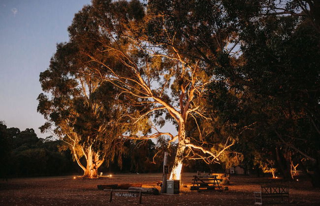 Margaret River Holiday Cottages - Foto 76