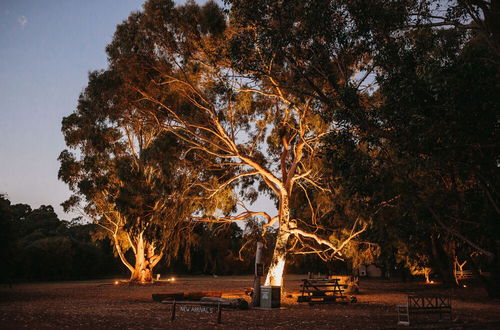 Photo 76 - Margaret River Holiday Cottages