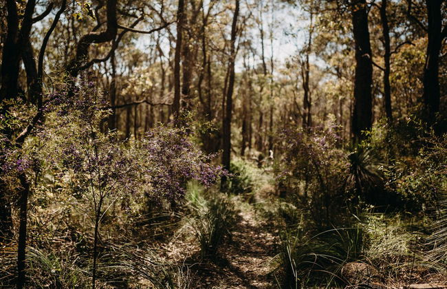 Margaret River Holiday Cottages - Foto 50