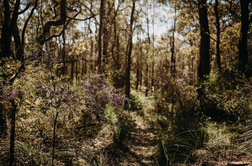 Photo 50 - Margaret River Holiday Cottages