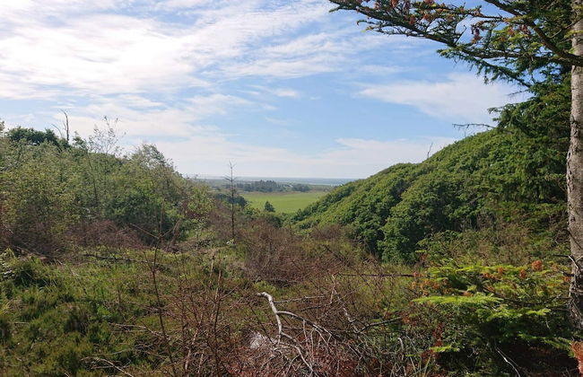 6 Person Holiday Home in Brovst - Foto 35