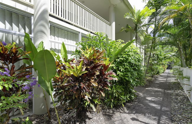 Tropical Nites - Foto 49