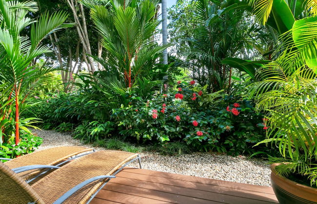Port Douglas Apartments - Adults Only Oasis - Foto 77