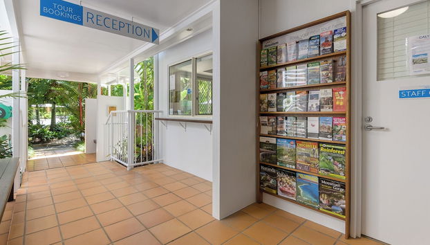 Rezeption