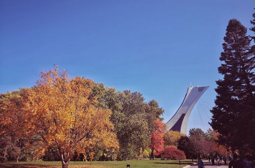 Photo 74 - HoMa HomeStay Hotel by Olympic Stadium Montreal (Auberge/Hostel)