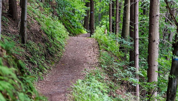 Holiday Home in Brastad - Foto 5