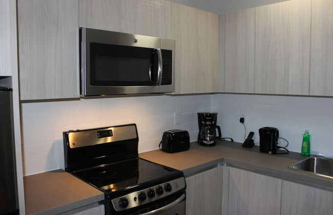 Atlas Suites College St Furnished Apts - Photo 8