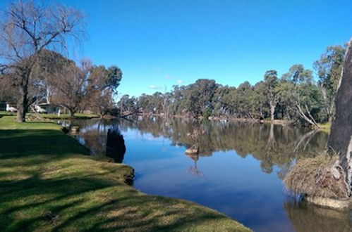 Photo 31 - Cohuna Waterfront Holiday Park