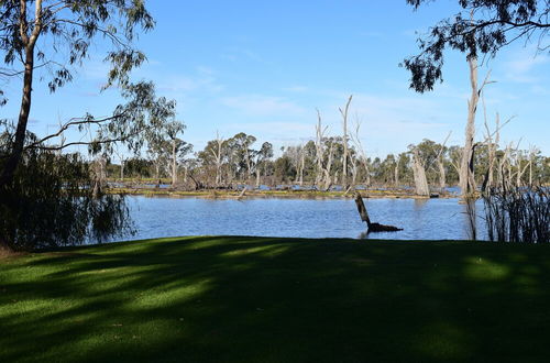 Photo 30 - Cohuna Waterfront Holiday Park