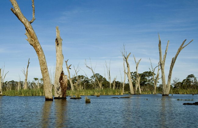 Cohuna Waterfront Holiday Park - Foto 35