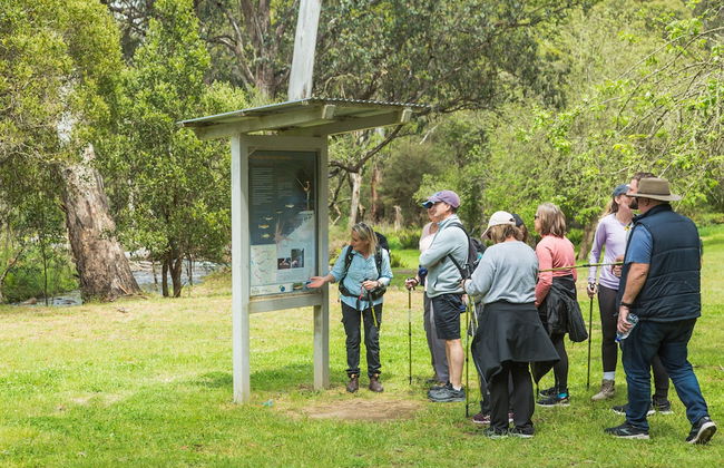 Mansfield Apartments - Foto 79