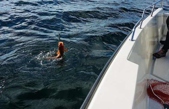 Holiday Home in Austrheim - Foto 18