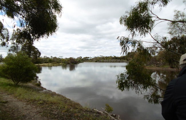 Grampians Getaway Resort - Foto 11