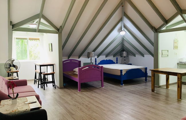 OSoleil Guesthouse - Foto 12