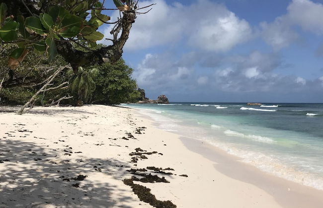 OSoleil Guesthouse - Foto 58