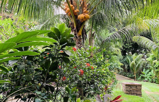 OSoleil Guesthouse - Foto 51