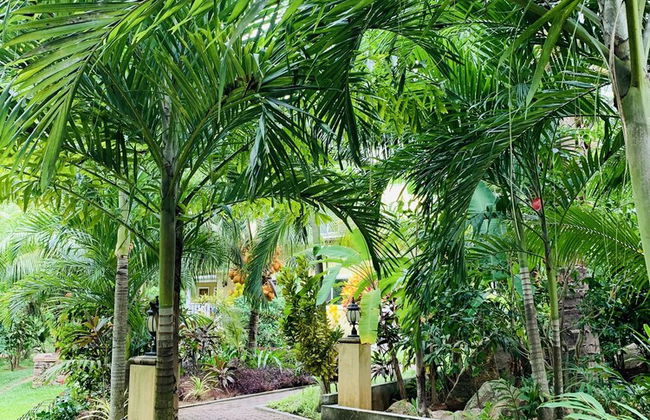 OSoleil Guesthouse - Foto 47