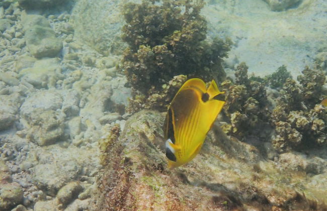 OSoleil Guesthouse - Foto 74