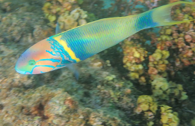 OSoleil Guesthouse - Foto 46