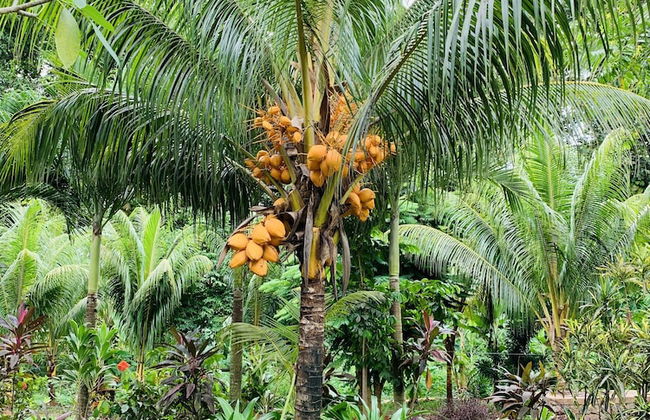 OSoleil Guesthouse - Foto 50