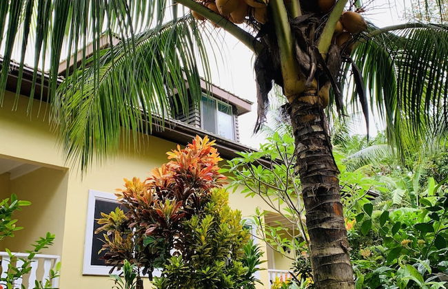 OSoleil Guesthouse - Foto 61