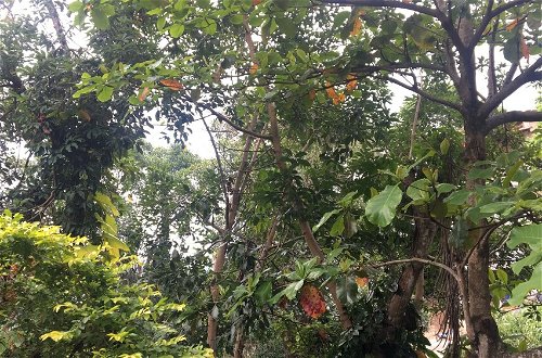 Foto 26 - Kandy Shady Trees Villa