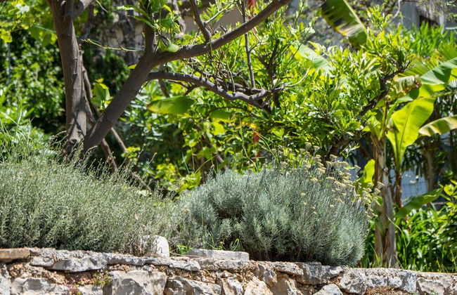 An Apartment Lavanda - Foto 17