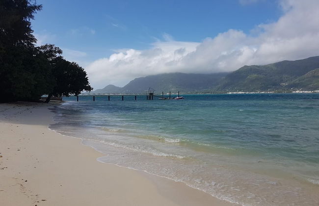 Fairytern Chalets - Foto 12