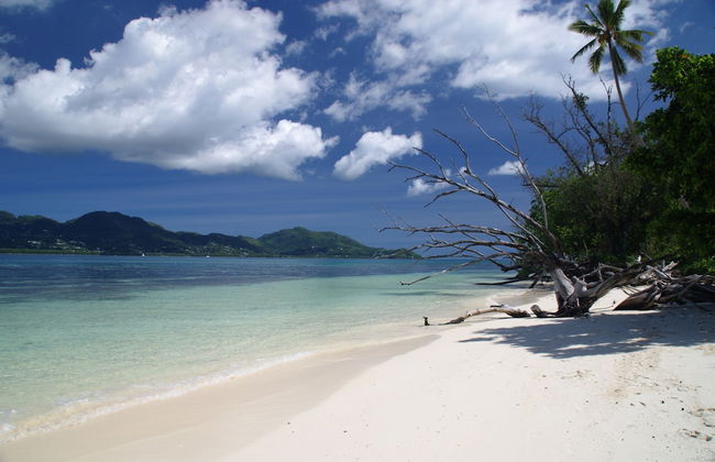 Fairytern Chalets - Foto 1