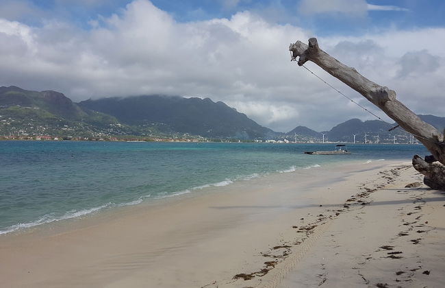 Fairytern Chalets - Foto 10