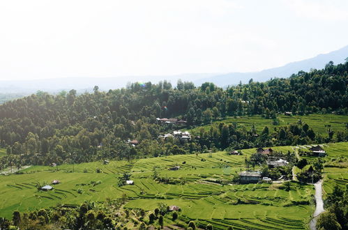 Photo 80 - Maha Hills Resort Lovina