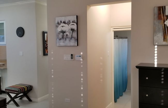 New Kingston Guest Apartment at Eight - Photo 13