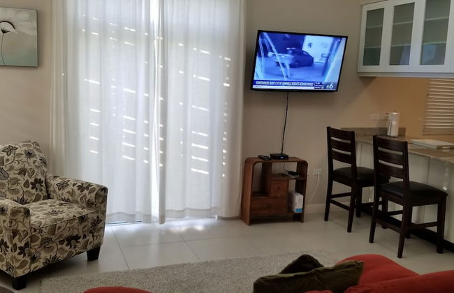 New Kingston Guest Apartment at Eight - Photo 12