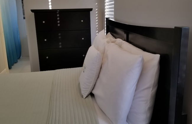 New Kingston Guest Apartment at Eight - Photo 20