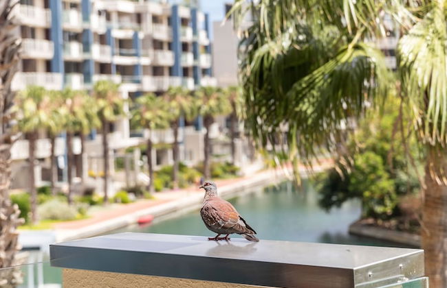 204 Juliette A, Waterfront Marina Residential - Foto 42
