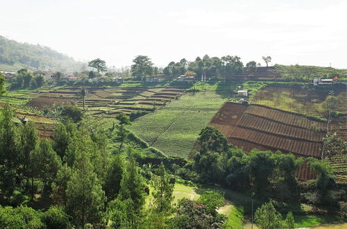 Foto 49 - Green Forest Mountain View Villa Dago Infinity Pool