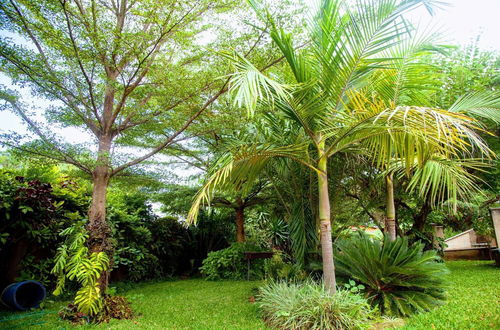 Photo 20 - Lush Gardens Apartment 2