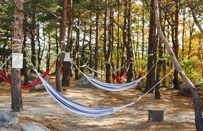 Kensington Resort Seorak Valley - Photo 46