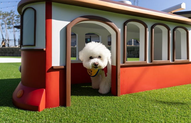 Kensington Resort Seorak Valley - Photo 31